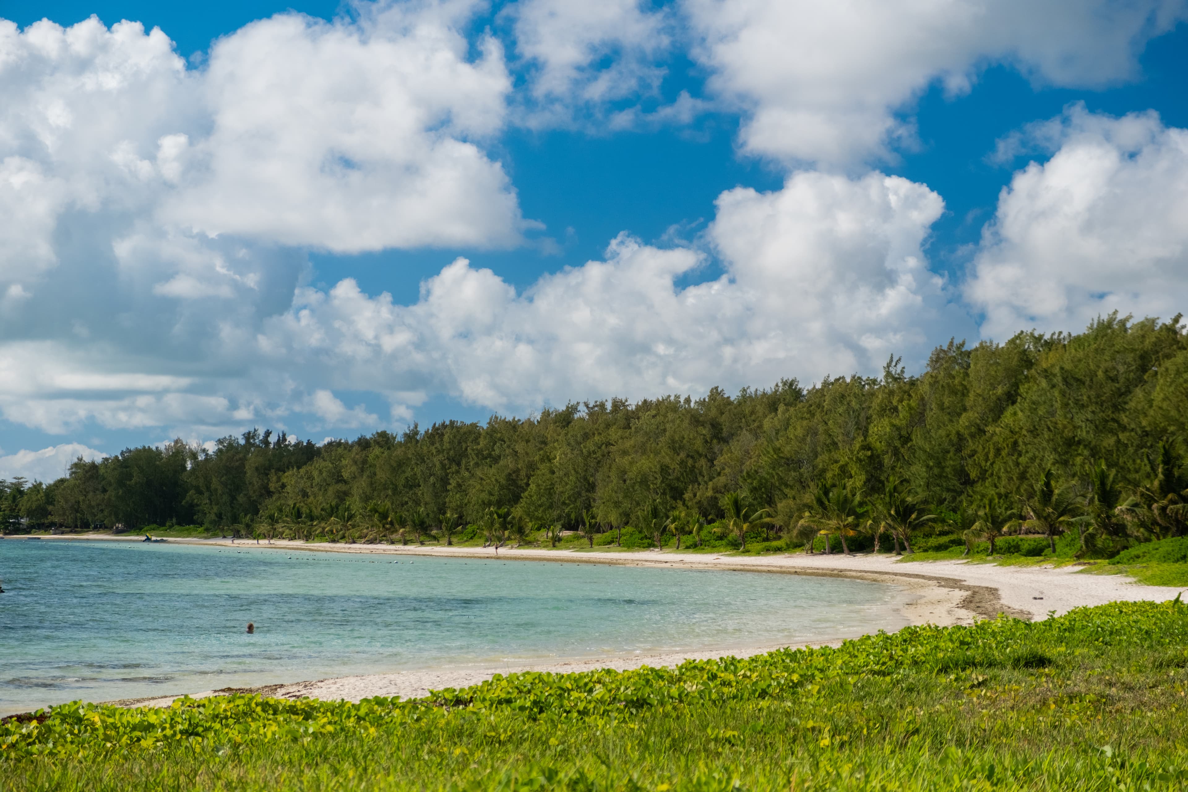 Nature and beach